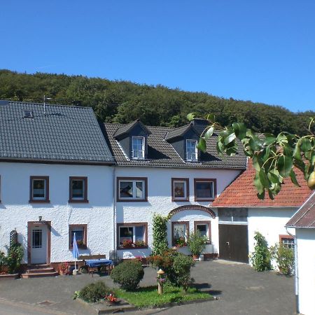 Ferienhof An Der Lay Kerpen  Exterior foto