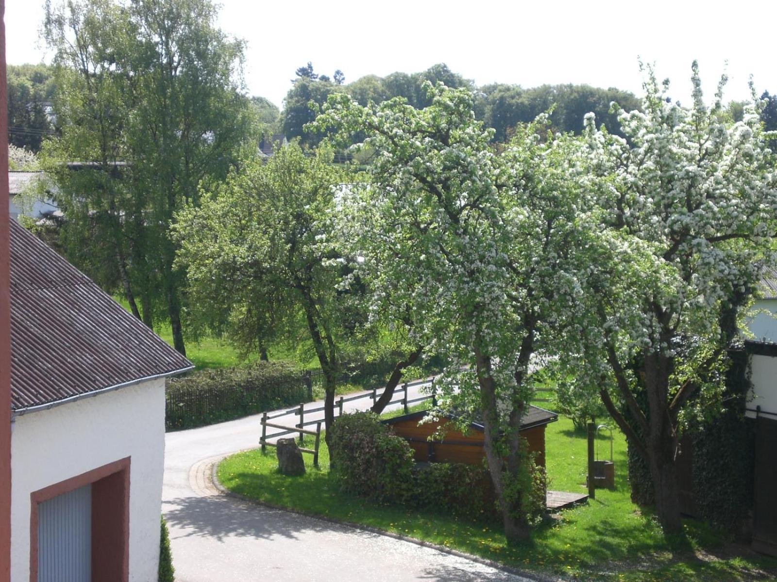 Ferienhof An Der Lay Kerpen  Exterior foto